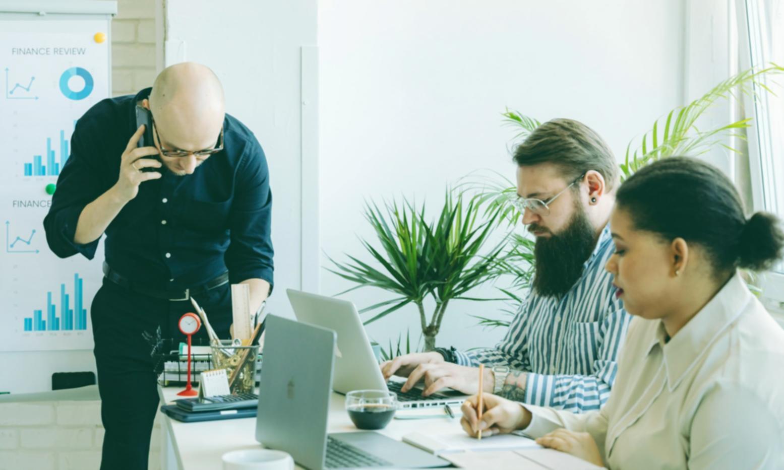 Social media strategy session showing content planning and audience analysis